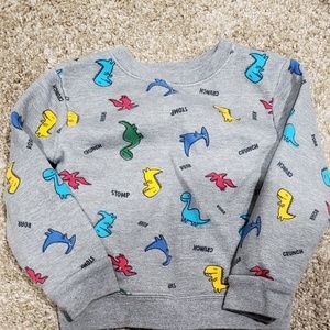 Dinosour Sweats toddler boy set